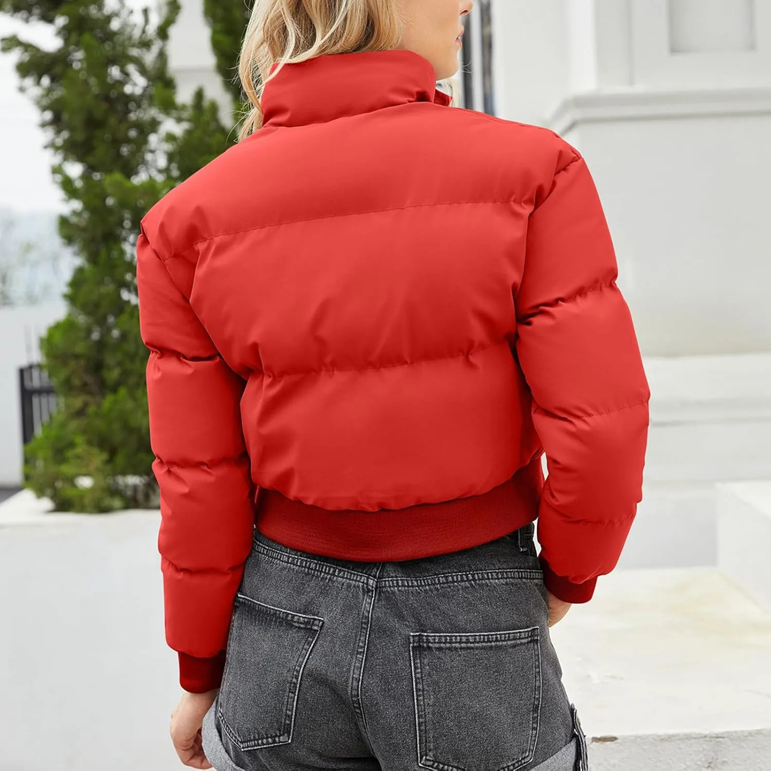 Women's Winter Cropped Puffer Jacket Long Sleeve Oversized Stand Collar Zip-Up Short Down Coat Fashion Solid Outwear