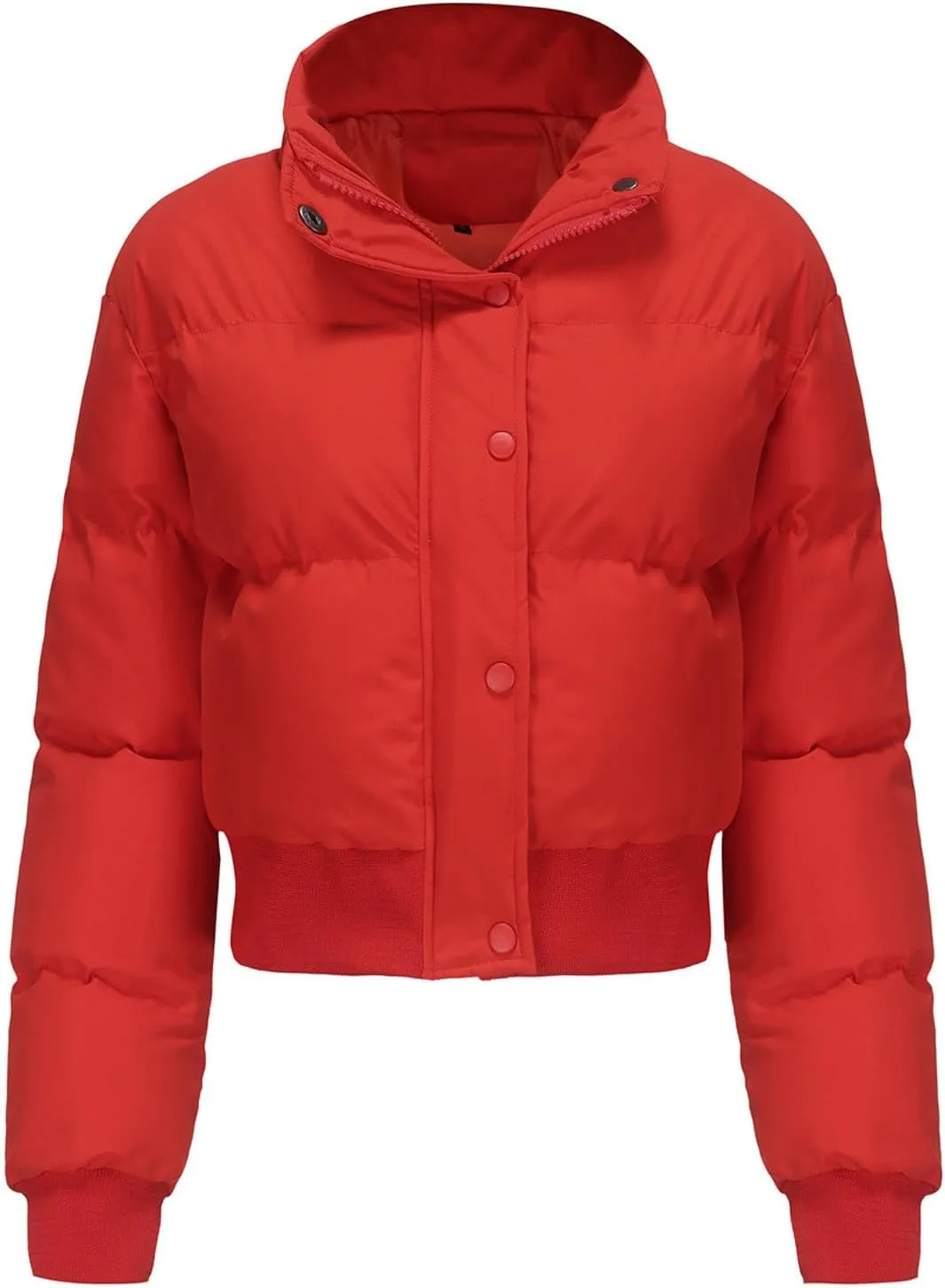 Women's Winter Cropped Puffer Jacket Long Sleeve Oversized Stand Collar Zip-Up Short Down Coat Fashion Solid Outwear