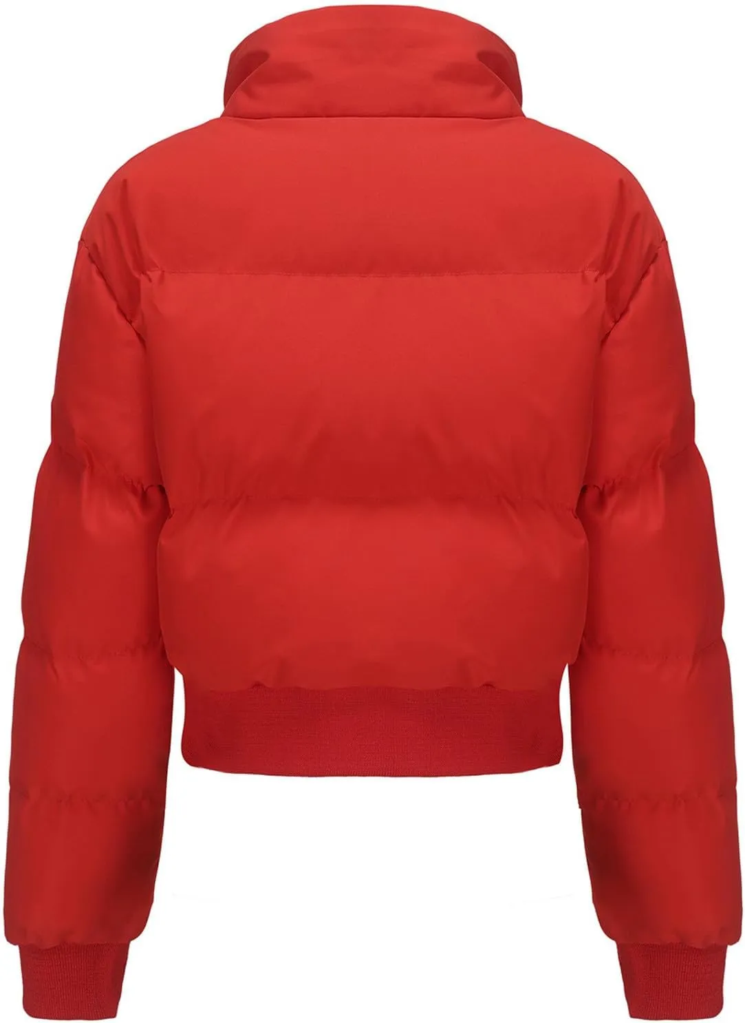Women's Winter Cropped Puffer Jacket Long Sleeve Oversized Stand Collar Zip-Up Short Down Coat Fashion Solid Outwear